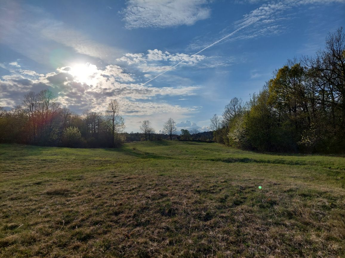 Landscape 2: Wild Horizons