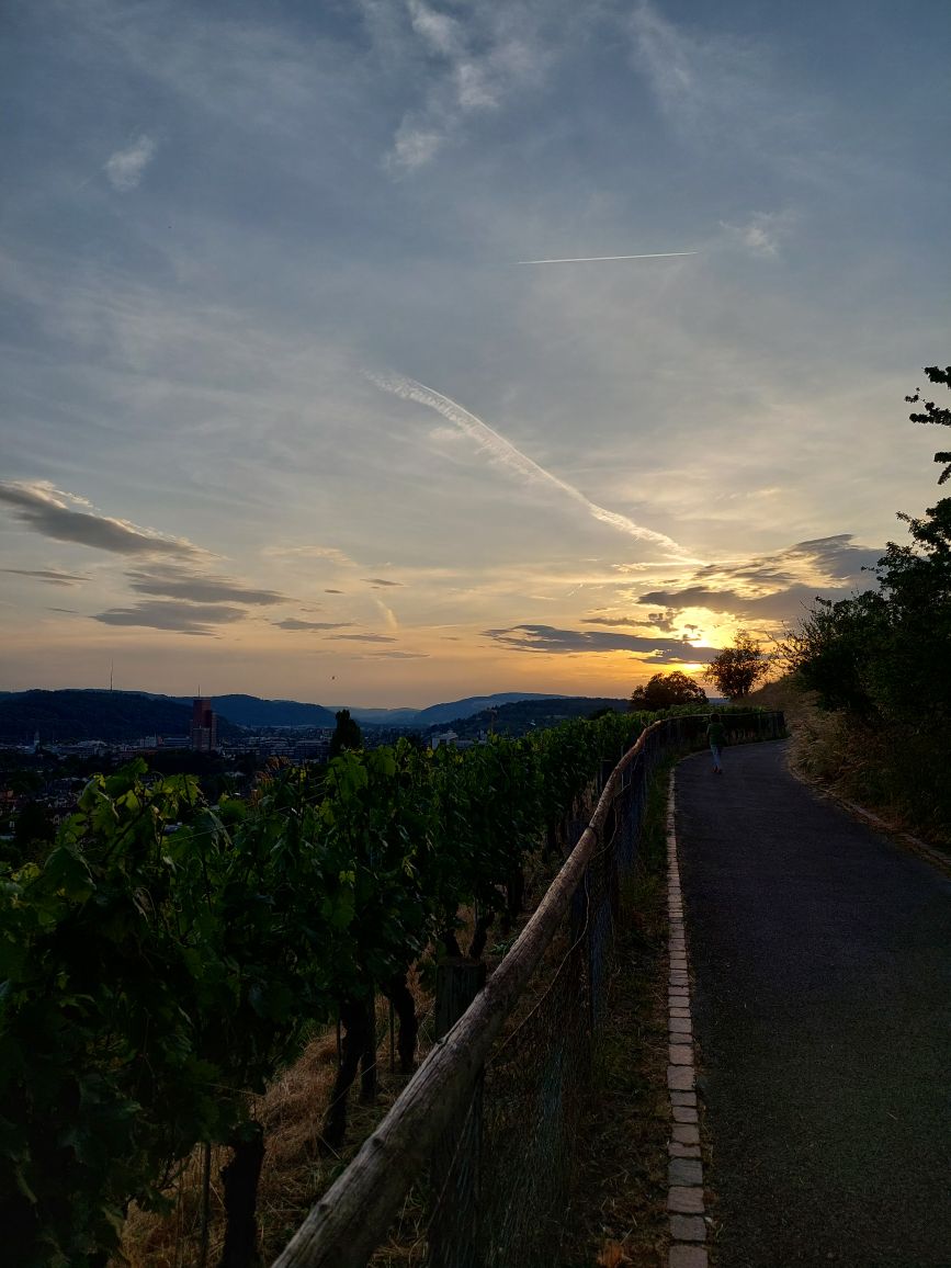 Sunset 4: Dusk's Lullaby